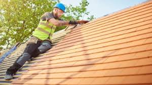 Best Roof Ventilation Installation  in Spring Valley, CA