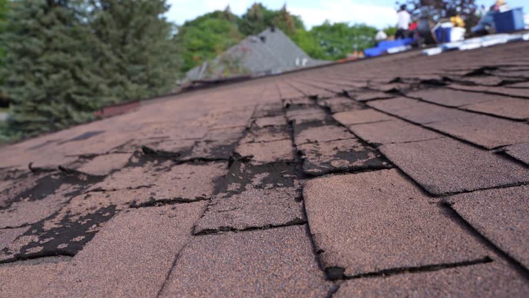Best Roofing for New Construction  in Spring Valley, CA