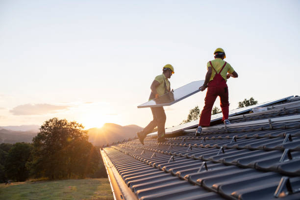 Best Skylight Installation and Repair  in Spring Valley, CA