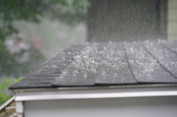 Best Storm Damage Roof Repair  in Spring Valley, CA