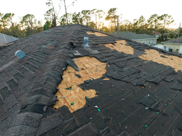 Best Roof Leak Repair  in Spring Valley, CA