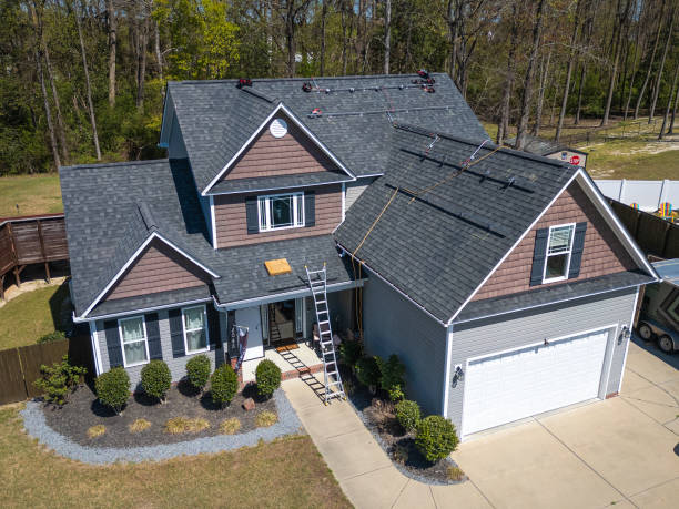 Best Roof Moss and Algae Removal  in Spring Valley, CA